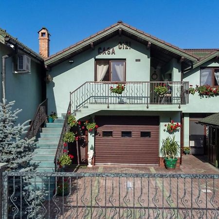 Casa Cizi Calimanesti Exterior foto