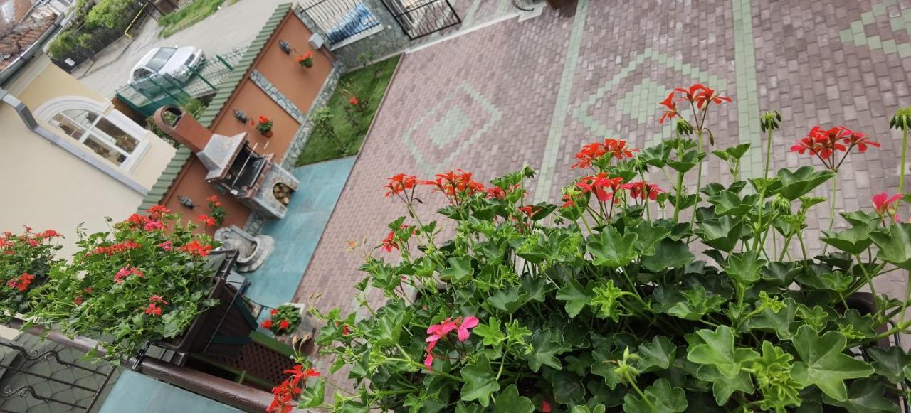 Casa Cizi Calimanesti Exterior foto