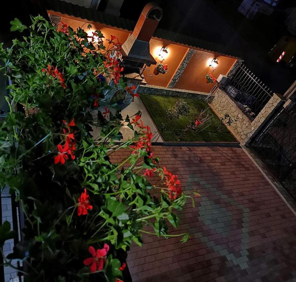 Casa Cizi Calimanesti Exterior foto