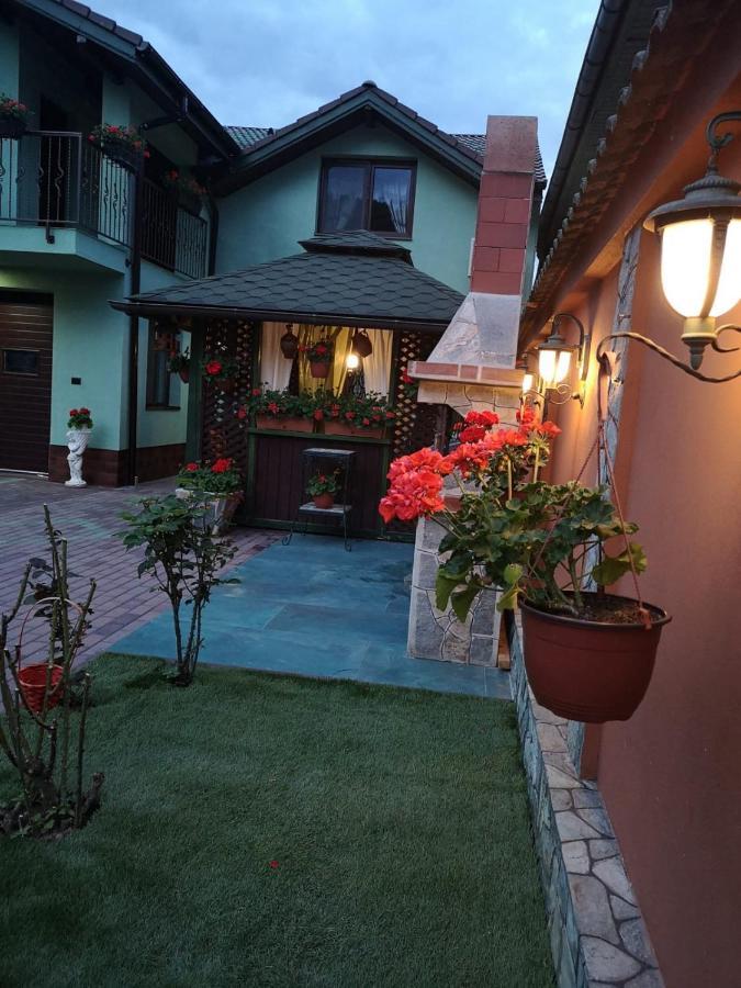 Casa Cizi Calimanesti Exterior foto